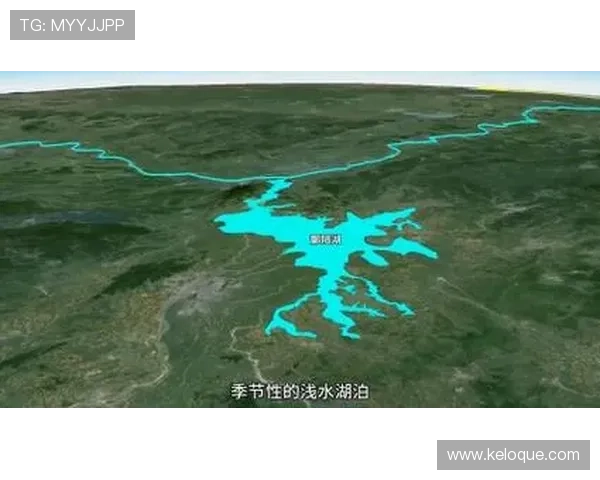 全讯网五湖四海网:五湖四海信息资源整合与共享的最佳选择