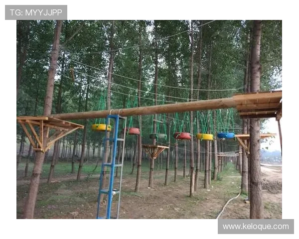 天成娱乐：多平台联动，拓展娱乐市场的全新发展战略